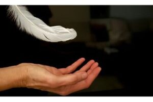 GIVE THIS GIFT OF THE SEASON STARTING WITH: EMPATHY