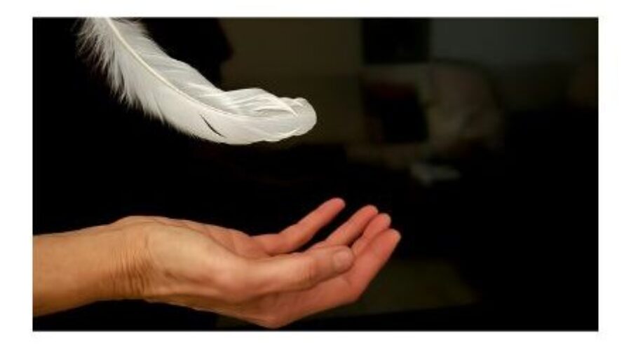 GIVE THIS GIFT OF THE SEASON STARTING WITH: EMPATHY